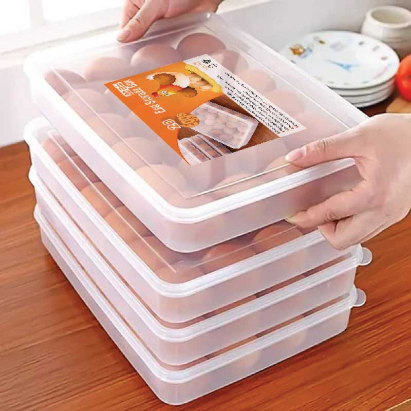 20 Grid Egg Case Organizer Holder Box